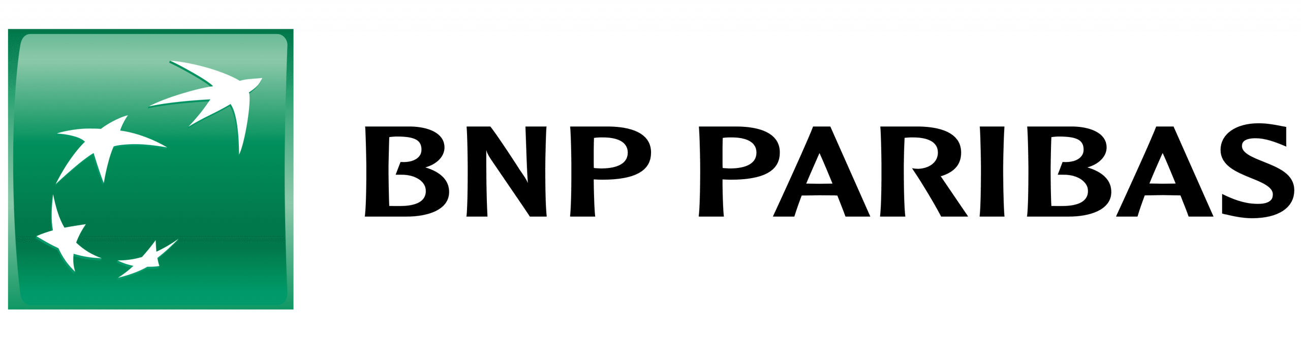 BNP Logo
